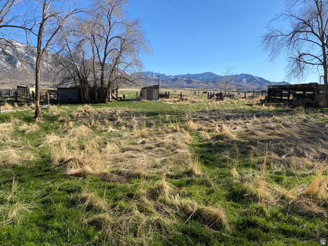 1766 Pine Rd Pine Canyon Tooele, UT 84074 - Photo 16 of 16 Expansive property featuring a mix of green grass and dry foliage, distant snow-capped mountains, mature trees with bare branches, and various outbuildings
