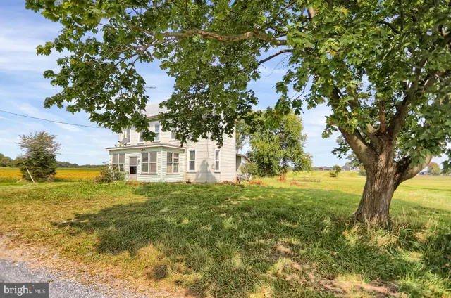 a front view of a house with yard and green space