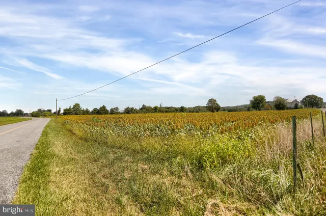 a view of a large body of water with lots of bushes