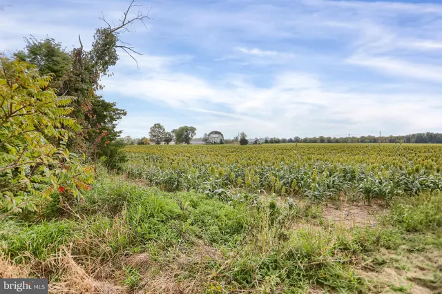 a view of a field with an trees