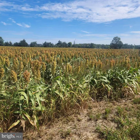 $695,000 | 433 Fickes School Road, York Springs, PA 17372