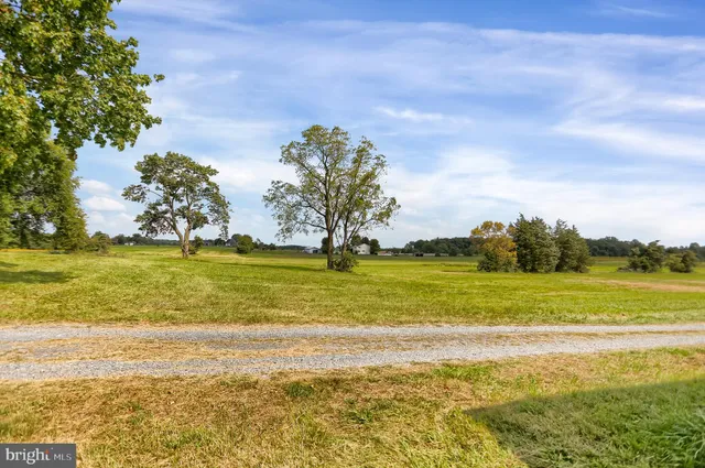 a view of an ocean from a yard