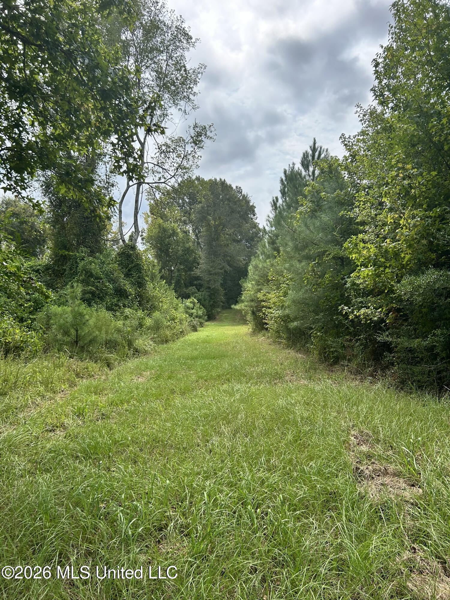 Jayess Road Jayess, MS 39641 - Photo 63 of 65 IMG_9802