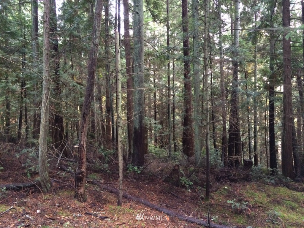 7284 Bailey Road Clinton, WA 98236 - Photo 12 of 25