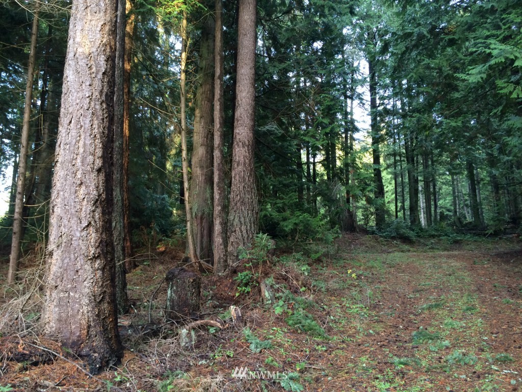 7284 Bailey Road Clinton, WA 98236 - Photo 17 of 25