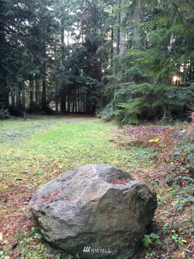 7284 Bailey Road Clinton, WA 98236 - Photo 3 of 25