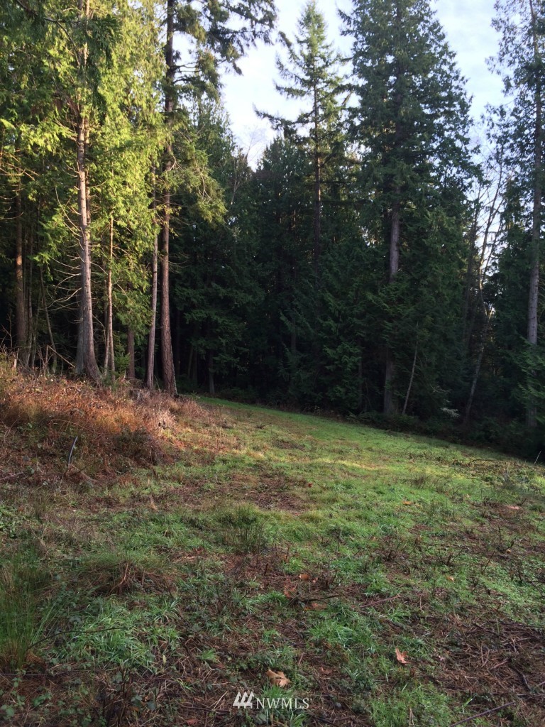7284 Bailey Road Clinton, WA 98236 - Photo 21 of 25