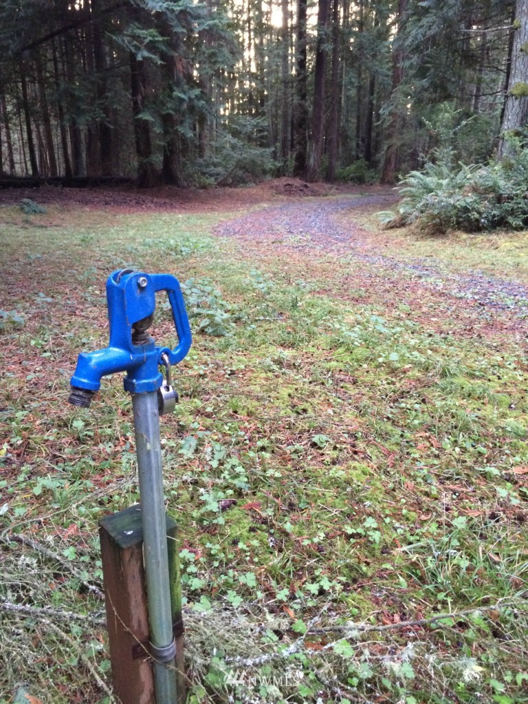 7284 Bailey Road Clinton, WA 98236 - Photo 25 of 25