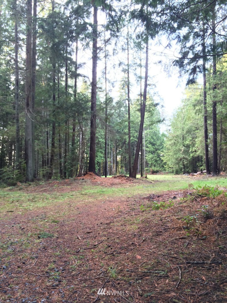 7284 Bailey Road Clinton, WA 98236 - Photo 7 of 25