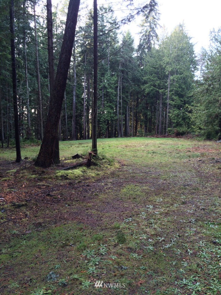 7284 Bailey Road Clinton, WA 98236 - Photo 8 of 25