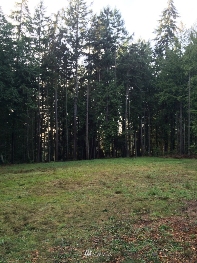 7284 Bailey Road Clinton, WA 98236 - Photo 9 of 25