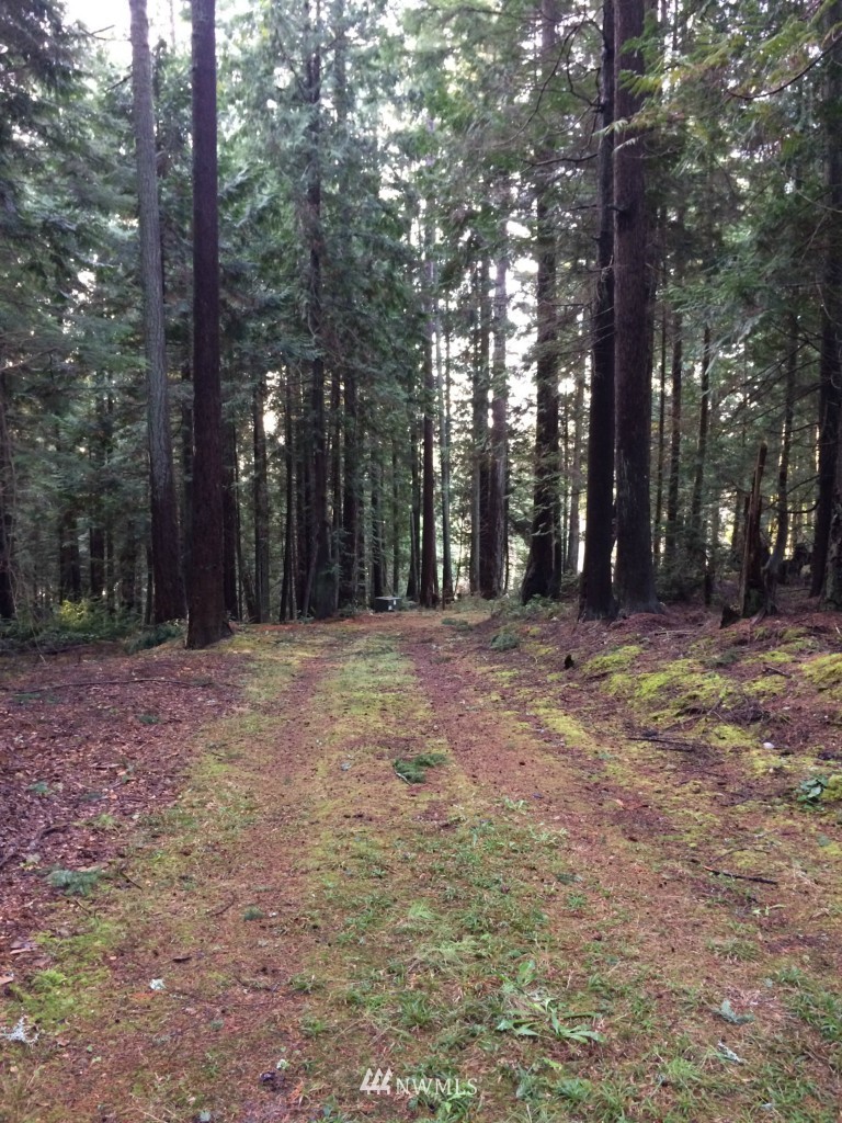 7284 Bailey Road Clinton, WA 98236 - Photo 10 of 25