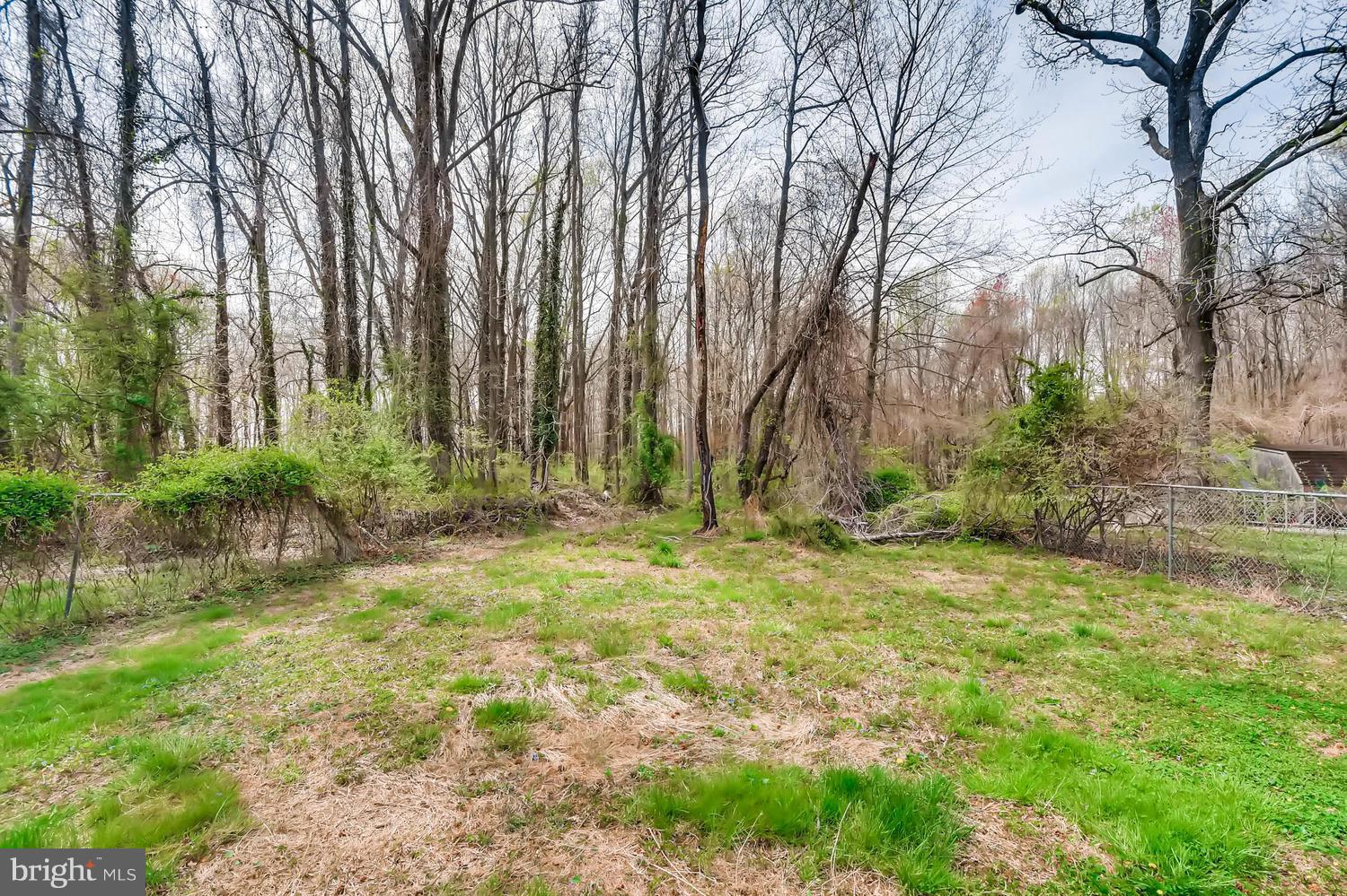 1468 Log Inn Road Annapolis, MD 21409 - Photo 27 of 28 a view of backyard with green space