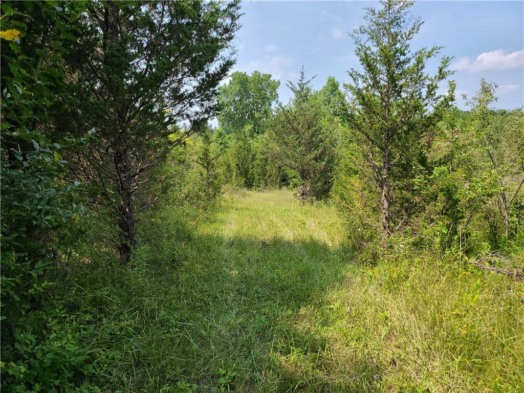 3501 Cart Road Richmond, IN 47374 - Photo 20 of 59 Gallery Image 20