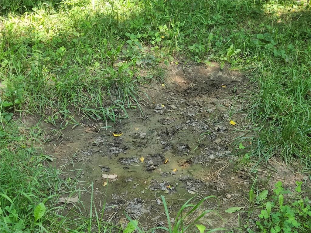 3501 Cart Road Richmond, IN 47374 - Photo 25 of 59 Gallery Image 25