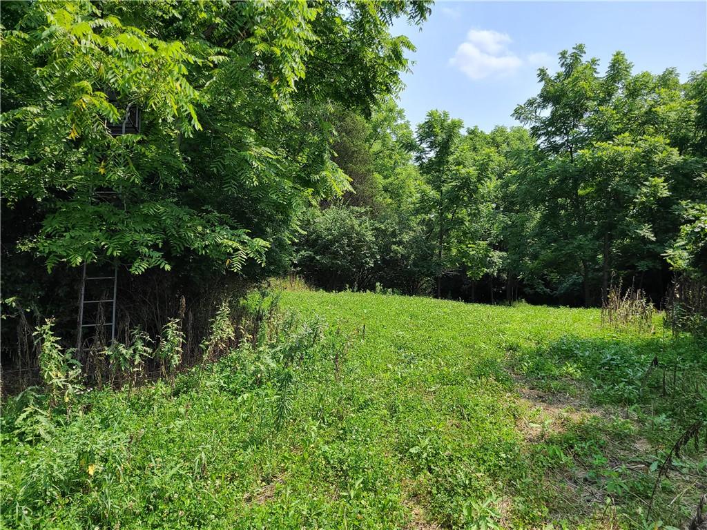 3501 Cart Road Richmond, IN 47374 - Photo 34 of 59 Gallery Image 34