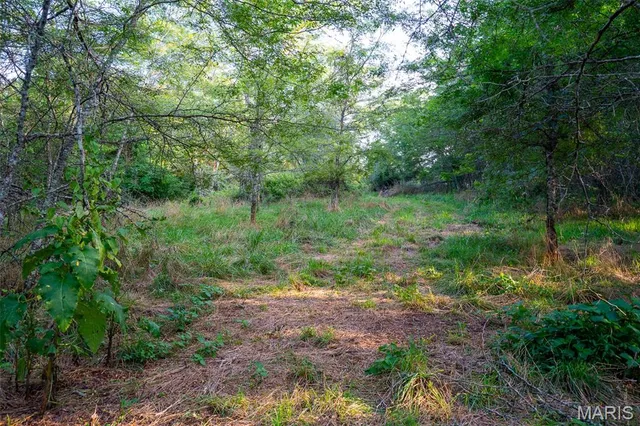 $900,000 | 0 South Mine La Motte Avenue, Fredericktown, MO 63645