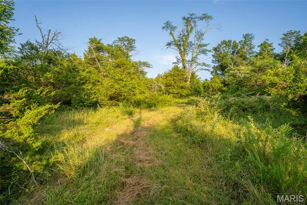 $900,000 | 0 South Mine La Motte Avenue, Fredericktown, MO 63645