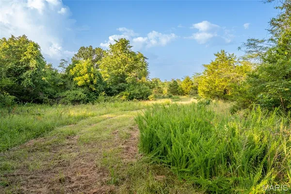 $900,000 | 0 South Mine La Motte Avenue, Fredericktown, MO 63645
