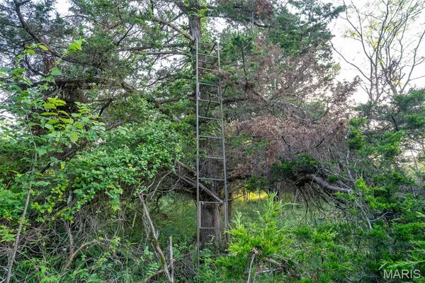 $900,000 | 0 South Mine La Motte Avenue, Fredericktown, MO 63645