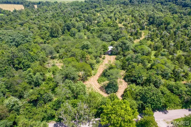 $900,000 | 0 South Mine La Motte Avenue, Fredericktown, MO 63645