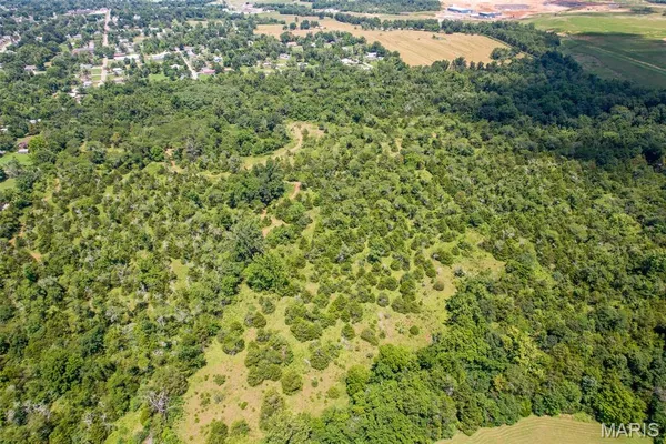 $900,000 | 0 South Mine La Motte Avenue, Fredericktown, MO 63645