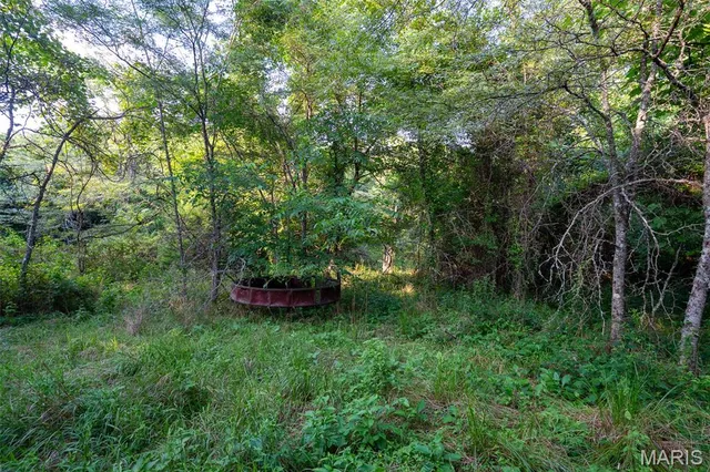 $900,000 | 0 South Mine La Motte Avenue, Fredericktown, MO 63645