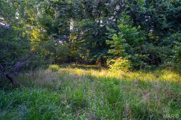 $900,000 | 0 South Mine La Motte Avenue, Fredericktown, MO 63645