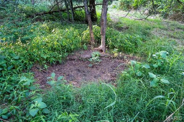$900,000 | 0 South Mine La Motte Avenue, Fredericktown, MO 63645