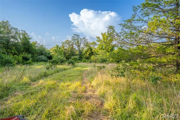 $900,000 | 0 South Mine La Motte Avenue, Fredericktown, MO 63645
