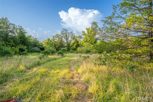 $900,000 | 0 South Mine La Motte Avenue, Fredericktown, MO 63645