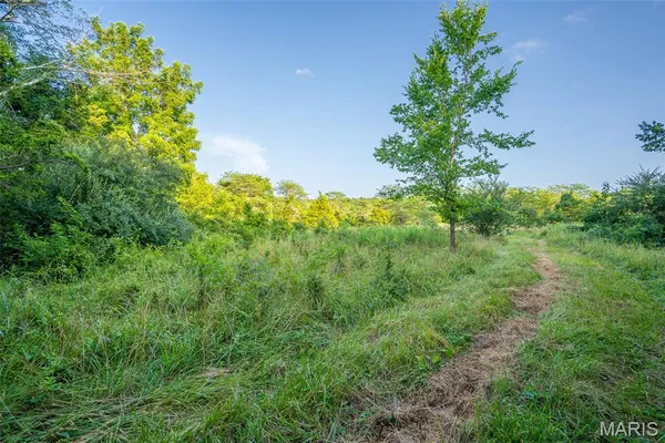 $900,000 | 0 South Mine La Motte Avenue, Fredericktown, MO 63645