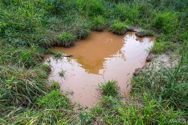 $900,000 | 0 South Mine La Motte Avenue, Fredericktown, MO 63645