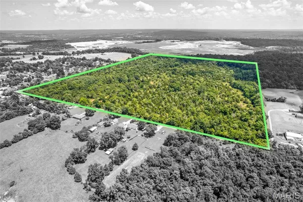 $900,000 | 0 South Mine La Motte Avenue, Fredericktown, MO 63645