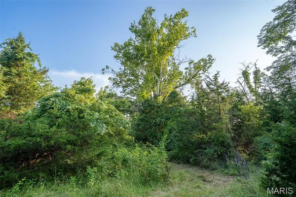 $900,000 | 0 South Mine La Motte Avenue, Fredericktown, MO 63645
