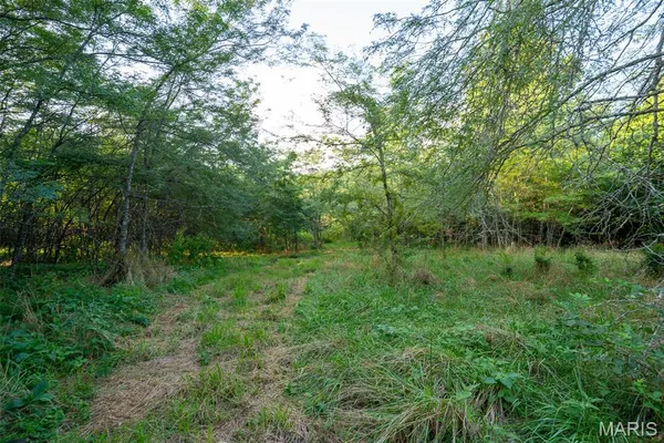 $900,000 | 0 South Mine La Motte Avenue, Fredericktown, MO 63645