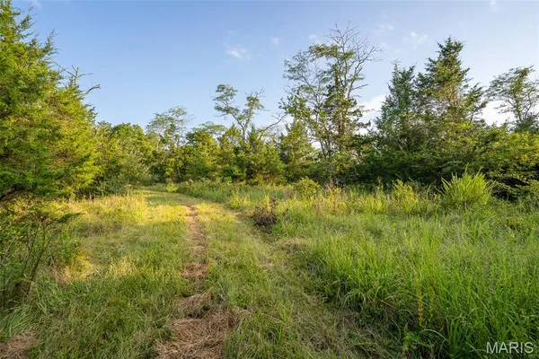 $900,000 | 0 South Mine La Motte Avenue, Fredericktown, MO 63645