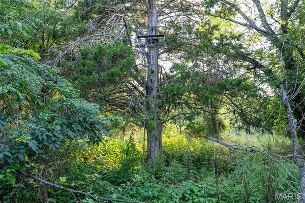 $900,000 | 0 South Mine La Motte Avenue, Fredericktown, MO 63645