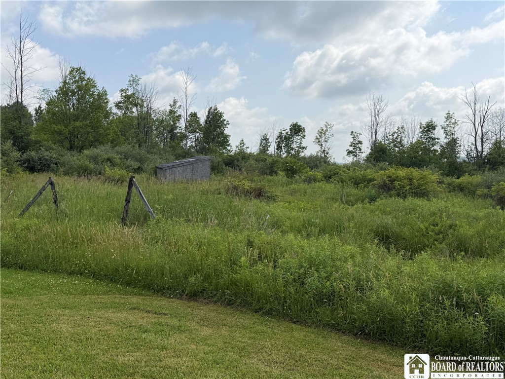 2751 Canfield Road Cohocton, NY 14826 - Photo 6 of 50