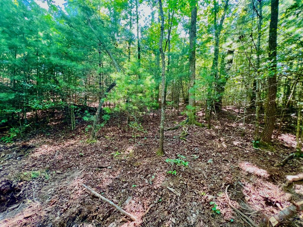2 Afton Road Marble Hill, GA 30148 - Photo 17 of 18 Gallery Image 17