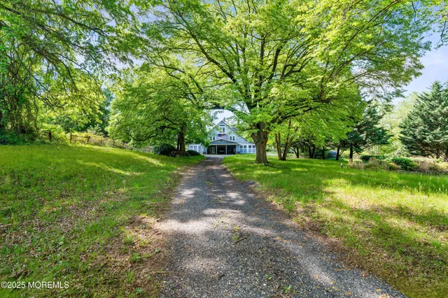 a view of a garden with a tree