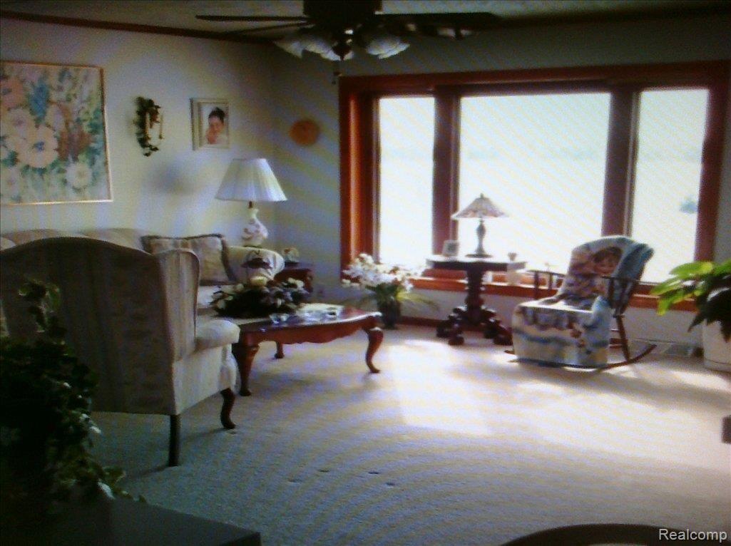 6868 Connell Road Yale, MI 48097 - Photo 15 of 15 palm pre all pics 419