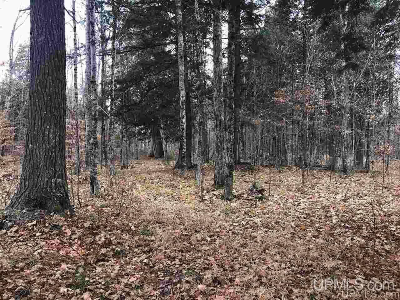 Tbd Off River Road, Unit 2 Hermansville, MI 49847 - Photo 11 of 34