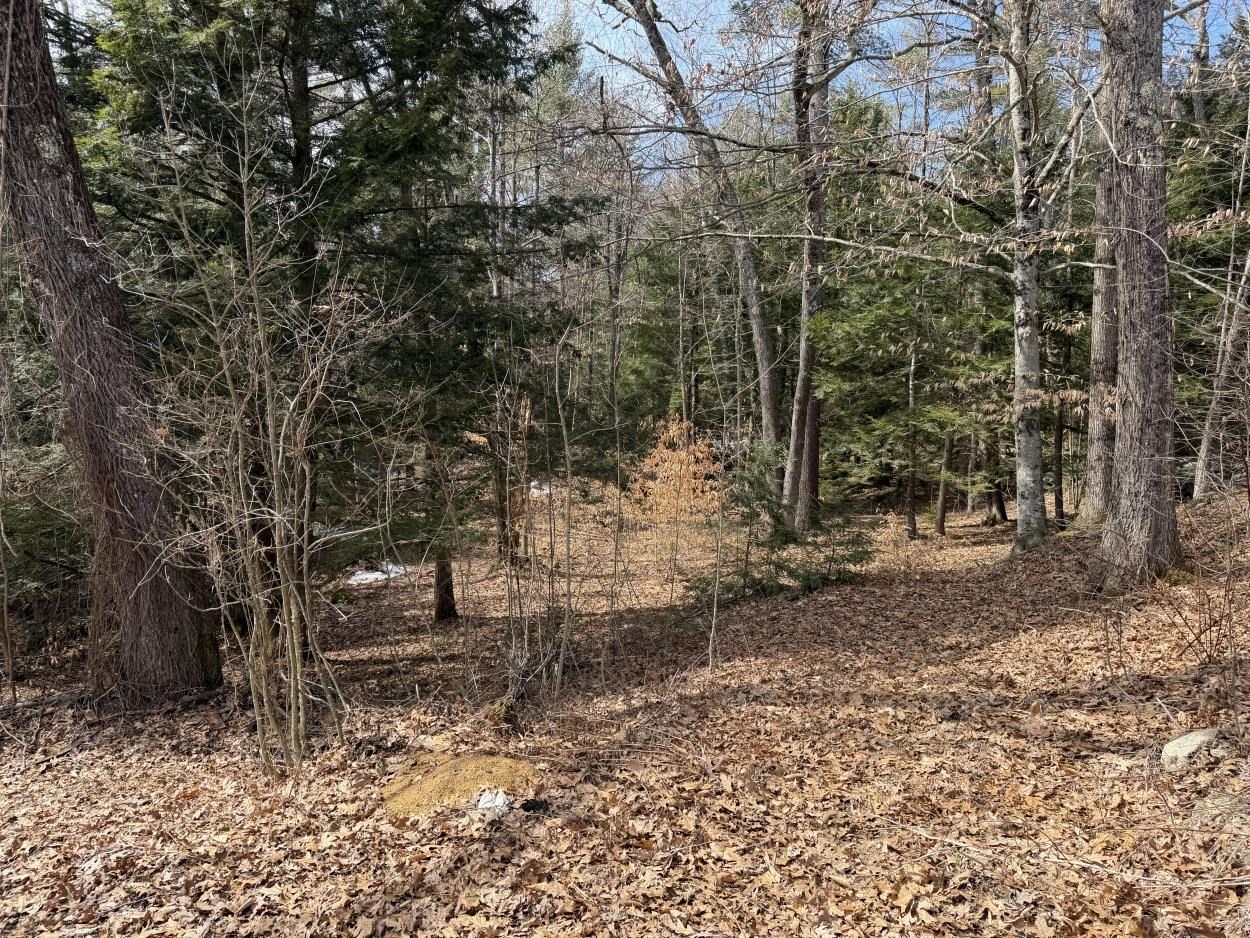 163 Pumpkin Hill Road Warner, NH 03278 - Photo 30 of 35