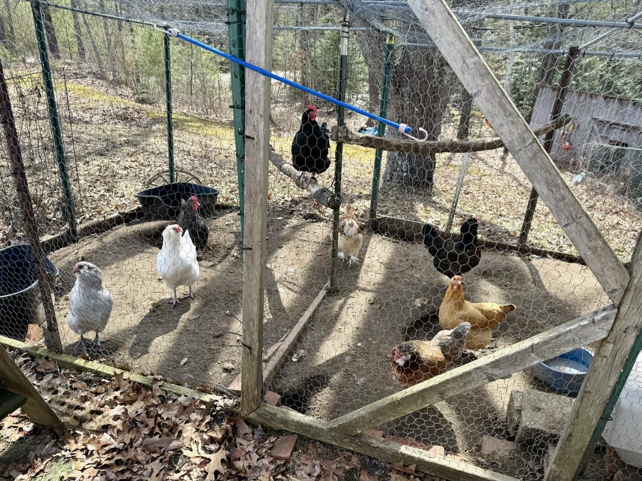 163 Pumpkin Hill Road Warner, NH 03278 - Photo 31 of 35