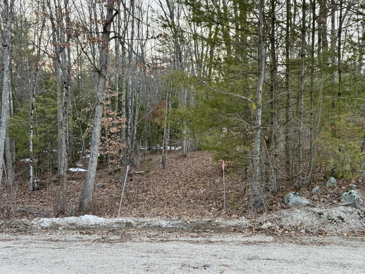 163 Pumpkin Hill Road Warner, NH 03278 - Photo 32 of 35