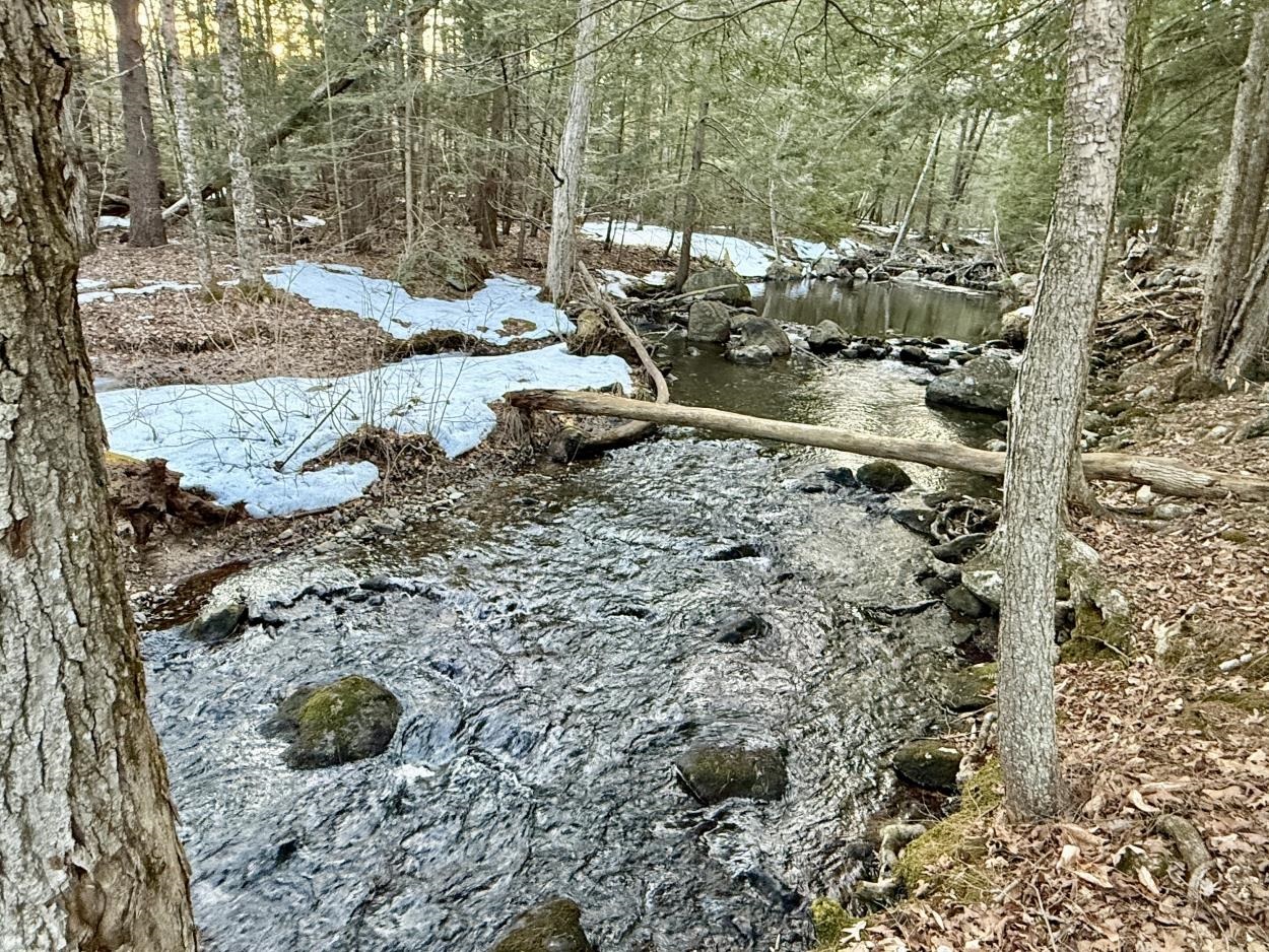 163 Pumpkin Hill Road Warner, NH 03278 - Photo 33 of 35