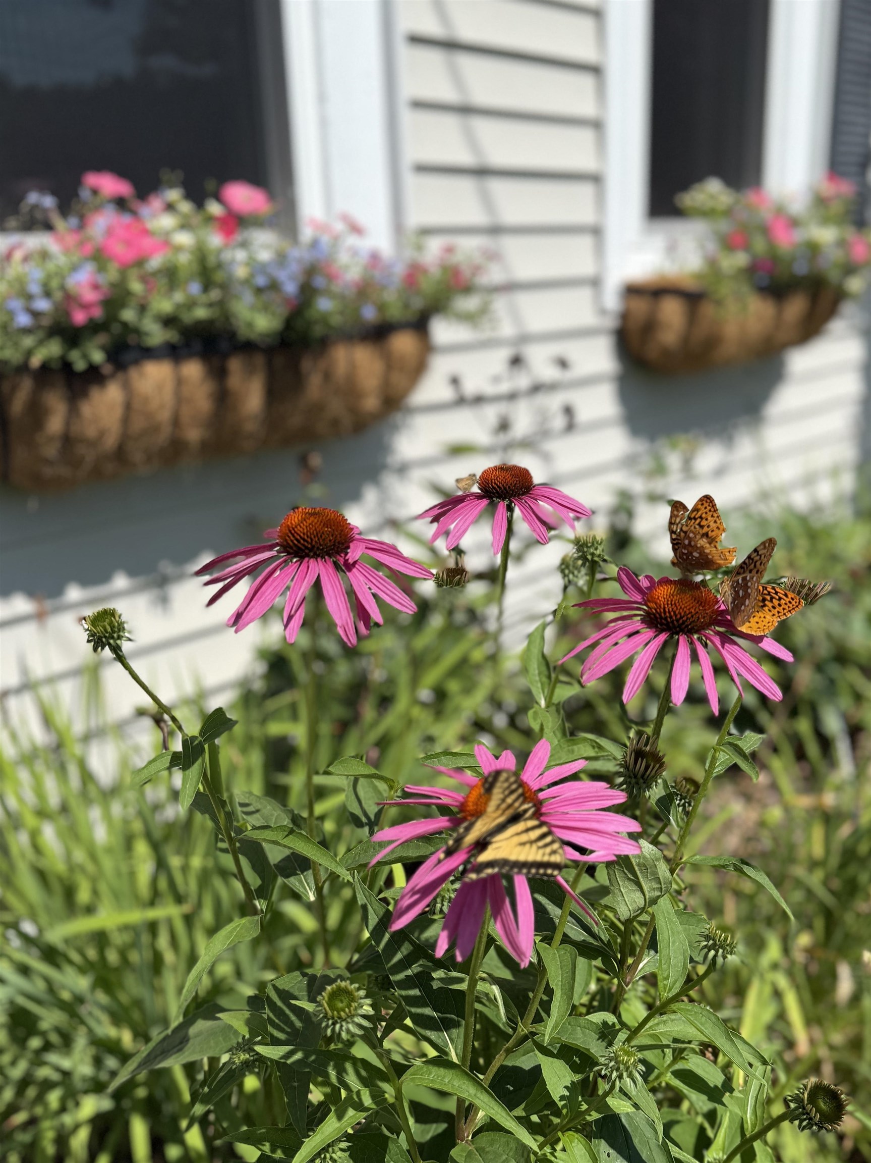 163 Pumpkin Hill Road Warner, NH 03278 - Photo 35 of 35