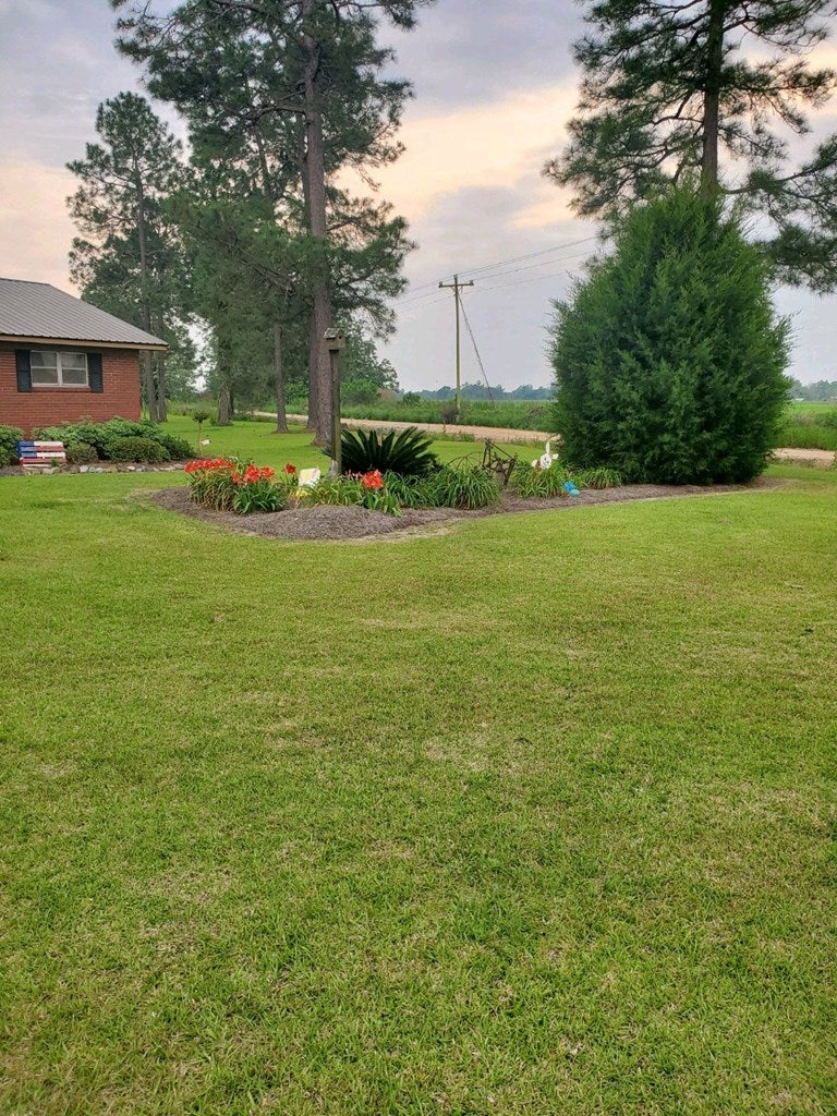 845 Od Miller Road Alapaha, GA 31622 - Photo 8 of 11 Gallery Image 8