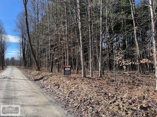 0 Burton Road Capac, MI 48014 - Photo 10 of 10